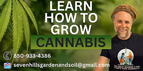 Learn to Grow Cannabis: 4-Week Tuesday Course or Individual Sessions