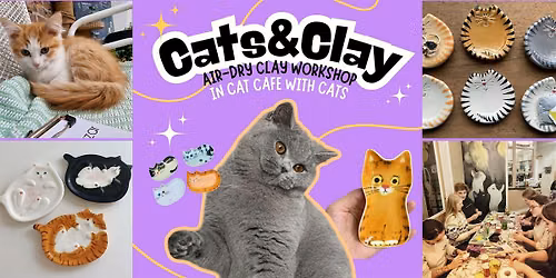Cats&Clay - clay workshop in cat cafe with cats - Nijmegen