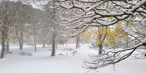 Sketchy Cousins Day Retreat ... Cozy, Warm & Well Fed