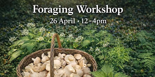 Foraging Workshop
