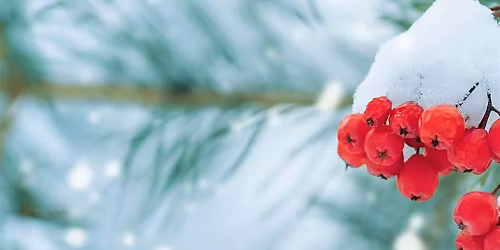 Cirencester Chamber of Commerce Winter Social