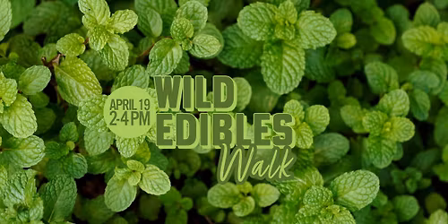Wild Edibles Walk at Prairie Pines
