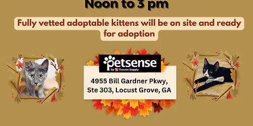 Fall Feline Adoption Event