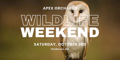 Wildlife Weekend | Day One