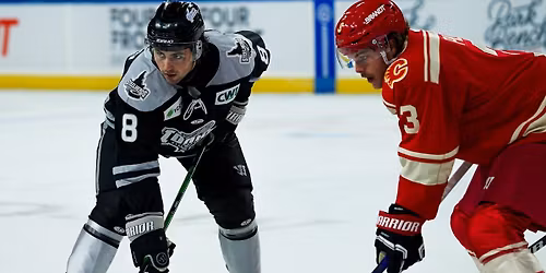 Parking Idaho Steelheads at Wichita Thunder