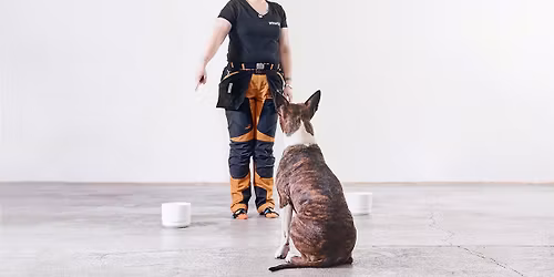 SmartDOG-testip\u00e4iv\u00e4 Sipoon Koirakeskuksella pe 24.7.2026