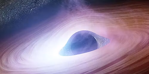 Black Holes: The Other Side of Infinity