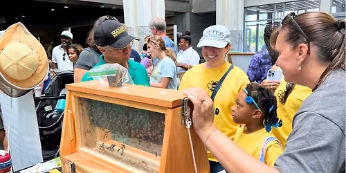 Honey Bee Festival with Beekeepers Guild of Southeast Virginia