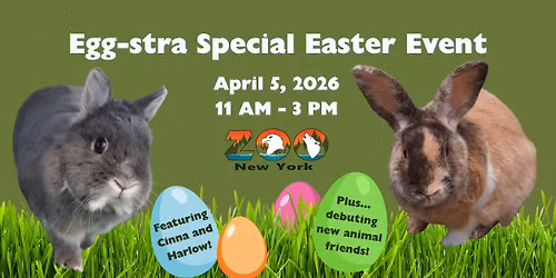 Egg-stra Special Easter Event