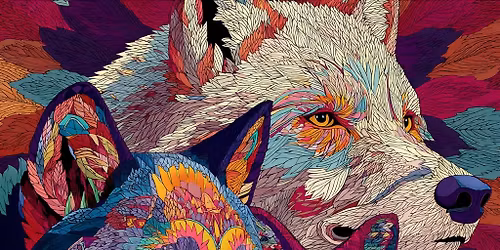 Phenomenal Animal at Paradise Sports Complex!