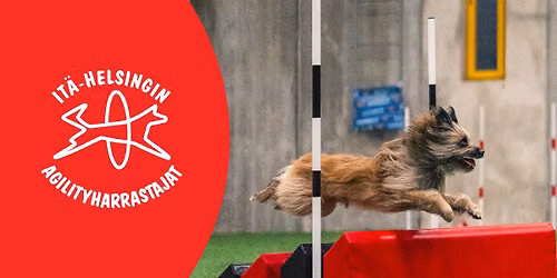 I-HAH Agilityn Marraskisat 28.-29.11.2026