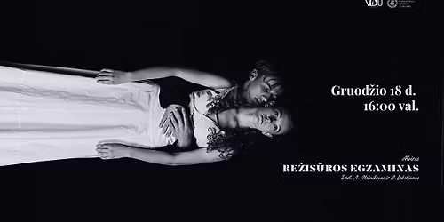 Atviras re\u017eis\u016bros egzaminas | VDU teatras