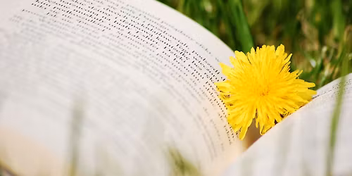 Spring Story Starts