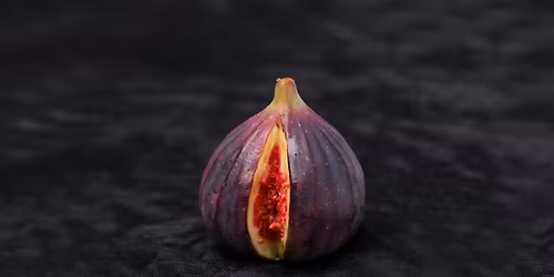 The Red Tent: Honoring the Sacred Cycles of Womanhood