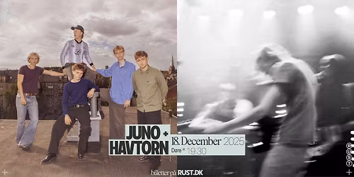 Juno + Havtorn \/\/ RUST - UDSOLGT