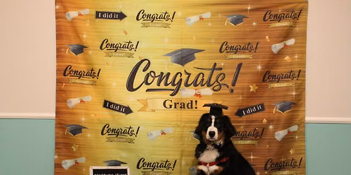Puppy Training & Socialization Class