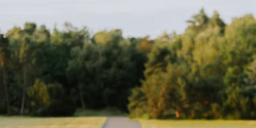 Nowy Podstawowy Kurs Nauczycielski Jogi 200h: Trzy Filary Jogi (Yoga Alliance) 14.11.2025-24.05.2026