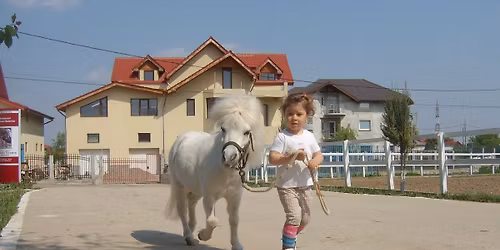 Tabara ecvestra intensiv vara 2026