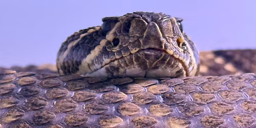 Father\u2019s Day Event! Half off admission!