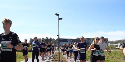 Sydbank Den Gr\u00f8nne Halvmaraton 2026