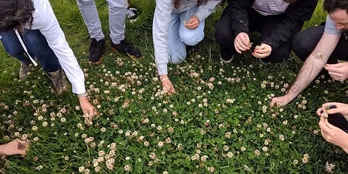 Foraging Course - Heaton Park, Newcastle