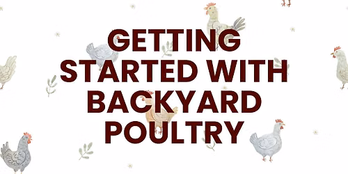 Getting Started with Backyard Poultry