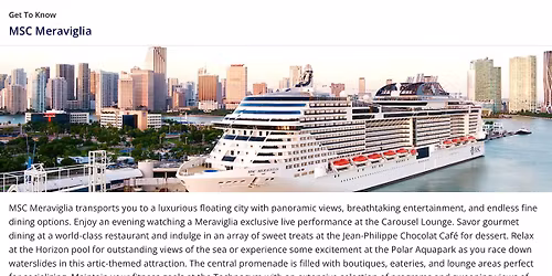 Winter Cruise MSC (Friends of the LGBTQRS)