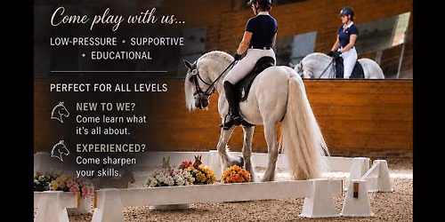 Working Equitation Clinic & Play Days