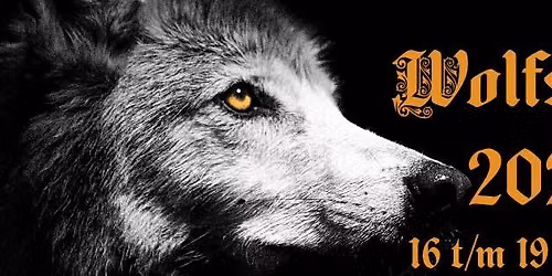 wolfsonic 2027