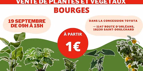 BOURGES - V\u00e9g\u00e9taux et Plantes \u00e0 partir de 1\u20ac by Plantes Addict