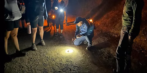 Halloween Nature Night Hike w\/ Joey Curti, PhD, UCLA Bat Biologist!