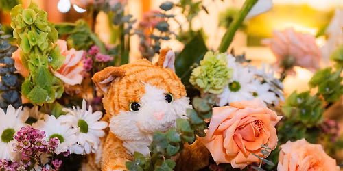 Knollwood Knockout Award Banquet