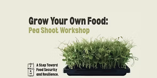 Grow Your Own Food: Pea Shoot Workshop (SOUTH MELBOURNE)