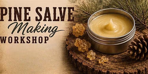 Pine Salve Workshop