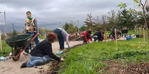 Spring Planting Day at the Orchard!