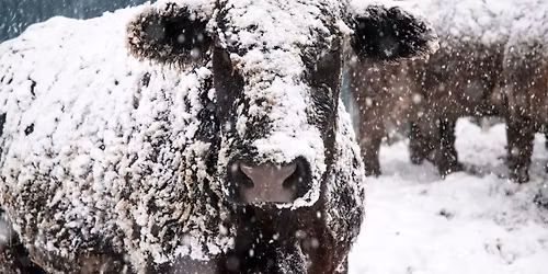 Einm\u00e1nu\u00f0r\r\n\u201cMonth-One\u201d Meet up