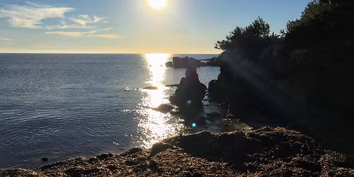 Summer Social Group Trail Run 8k - Siesta & the Secret Tunnel