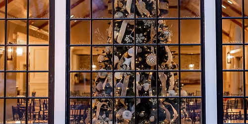 Holiday Tree Lighting