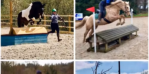 Arena XC @ West Nymph, In-Hand and\/or Ridden