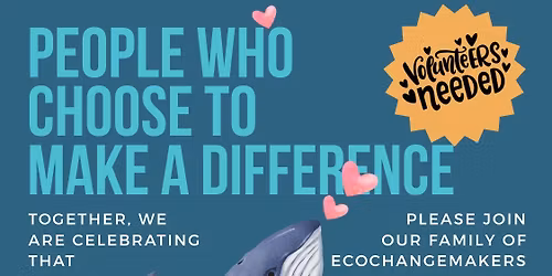 International Volunteers Day - Beach Clean Up