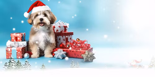 PETquoson Holiday Bash