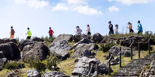 Botaniczna Pi\u0105tka Kielce - edycja wiosenna