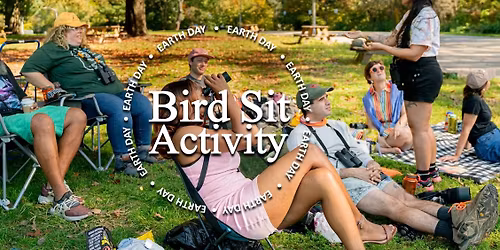 BIRD SIT Activity