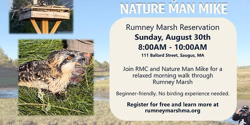 Birding with Nature Man Mike at Rumney Marsh