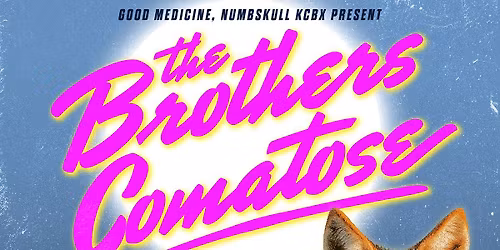 The Brothers Comatose