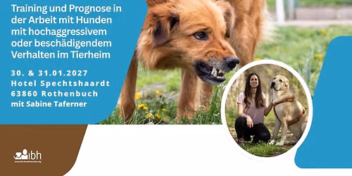 Training und Prognose in der Arbeit mit Hunden mit hochaggressivem Verhalten - Sabine Taverner