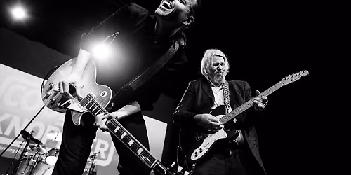 Cooking with Knopfler