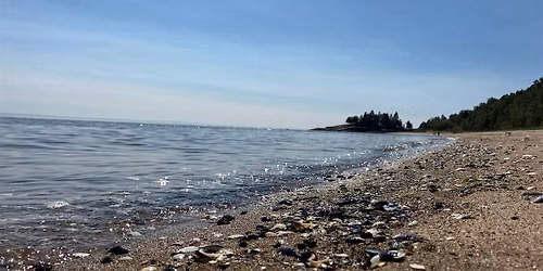 Nature Journalling along the St. Lawrence