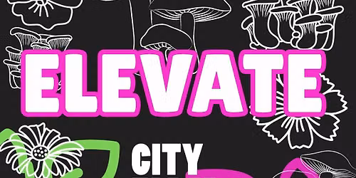Elevate!