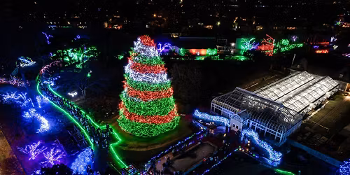 Tree Lighting Ceremony & Drone Shows at Toledo Zoo